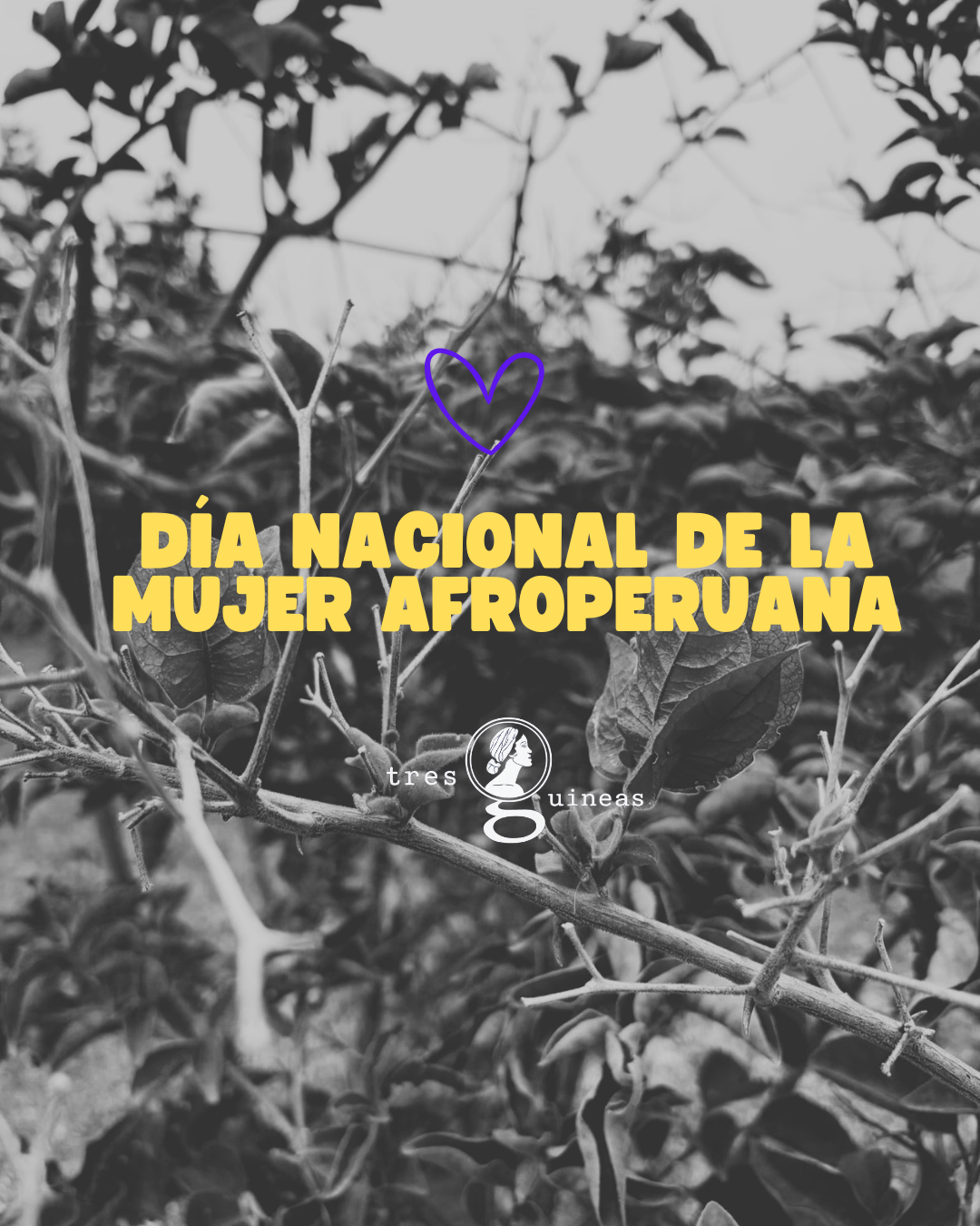 Portada de La memoria de sus voces 